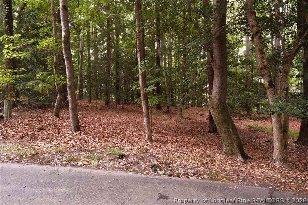 1144 Deerfoot Trail, Sanford, NC 27332 — photo 4