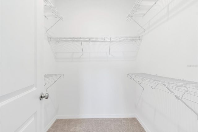 15220 BLUE PEACOCK LANE, Winter Garden, FL 34787