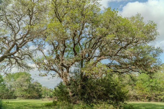 2745 Holub Road, Schulenburg, TX 78956