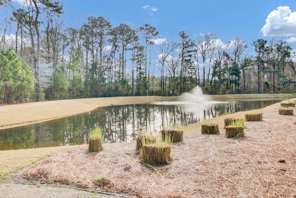 Image 52 of property listing at 2011 Barn Swallow Road, Summerville, SC 29483