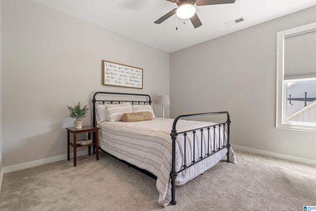 2916 BLACKRIDGE PLACE, Hoover, AL 35244