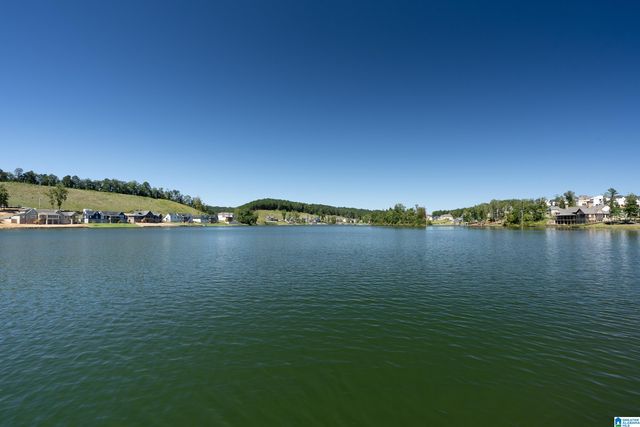 2916 BLACKRIDGE PLACE, Hoover, AL 35244