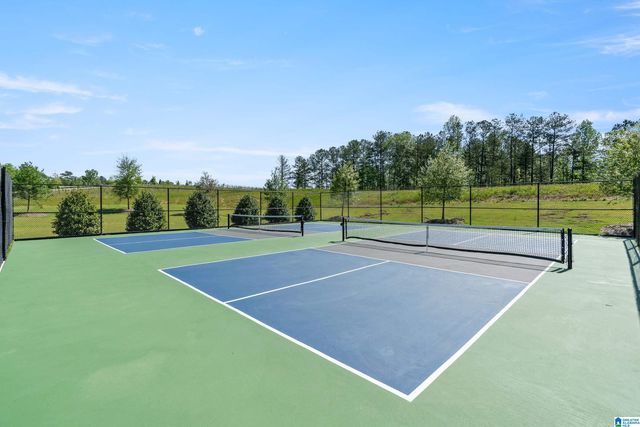 2916 BLACKRIDGE PLACE, Hoover, AL 35244