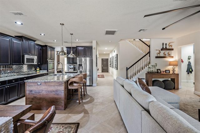 19230 PEPPER GRASS DRIVE, Tampa, FL 33647