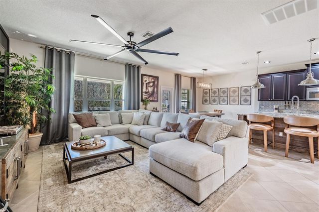 19230 PEPPER GRASS DRIVE, Tampa, FL 33647