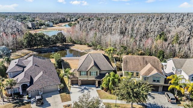 19230 PEPPER GRASS DRIVE, Tampa, FL 33647