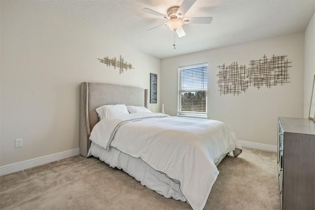 19230 PEPPER GRASS DRIVE, Tampa, FL 33647