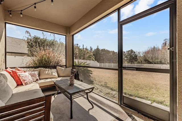 19230 PEPPER GRASS DRIVE, Tampa, FL 33647