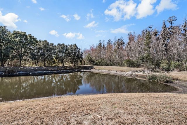 19230 PEPPER GRASS DRIVE, Tampa, FL 33647