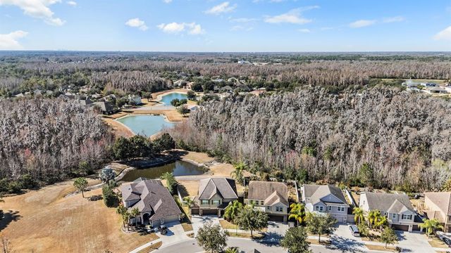 19230 PEPPER GRASS DRIVE, Tampa, FL 33647