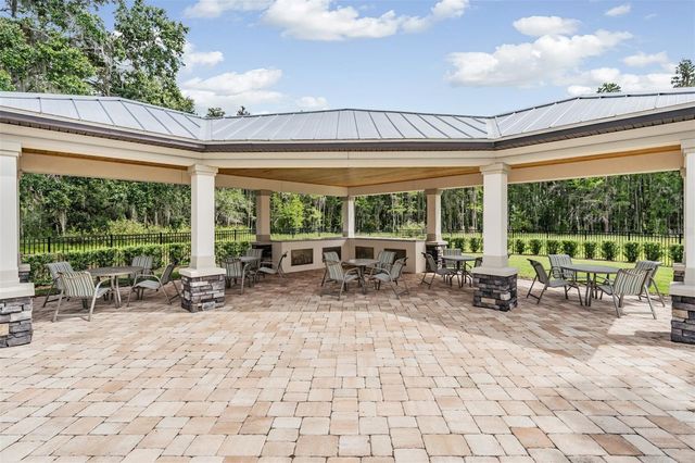 19230 PEPPER GRASS DRIVE, Tampa, FL 33647