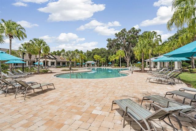 19230 PEPPER GRASS DRIVE, Tampa, FL 33647