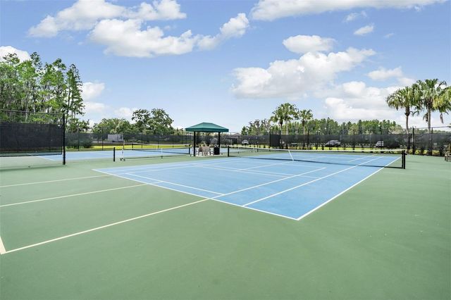 19230 PEPPER GRASS DRIVE, Tampa, FL 33647