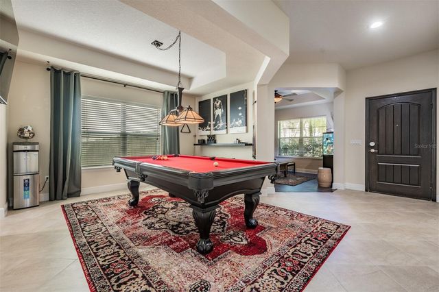 19230 PEPPER GRASS DRIVE, Tampa, FL 33647