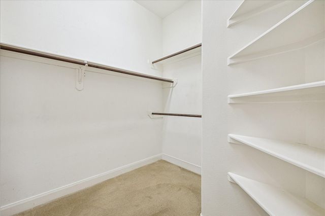 3215 Loblolly Pines Way, Houston, TX 77082