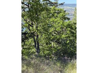 Coyote Ct Lot#43, Mosier, OR 97040