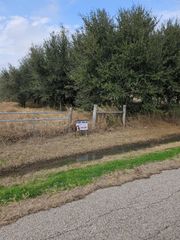 0 Mcfarlane Road, Beasley, TX 77417