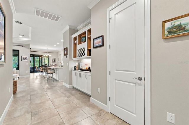 20163 UMBRIA HILL DRIVE, Tampa, FL 33647