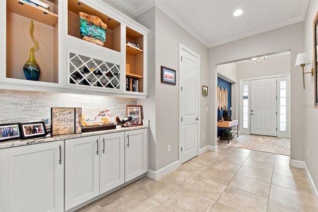 20163 UMBRIA HILL DRIVE, Tampa, FL 33647