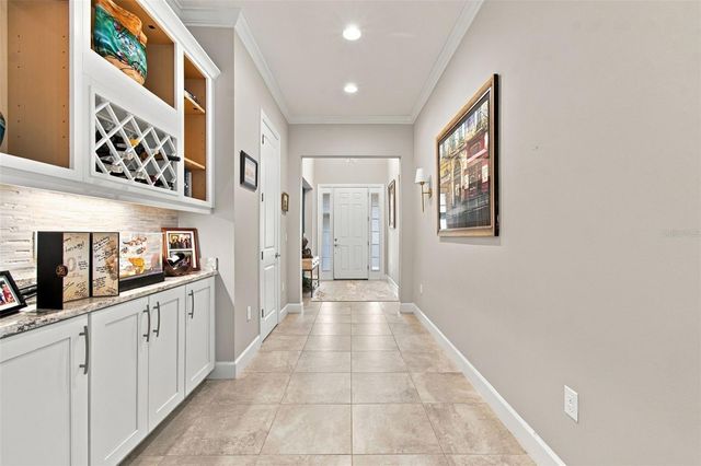 20163 UMBRIA HILL DRIVE, Tampa, FL 33647