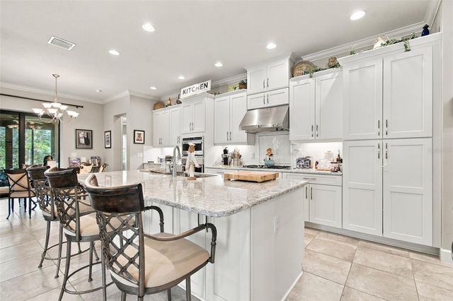 20163 UMBRIA HILL DRIVE, Tampa, FL 33647
