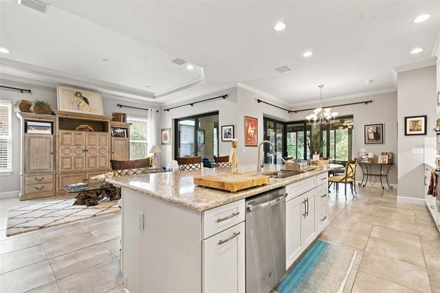 20163 UMBRIA HILL DRIVE, Tampa, FL 33647