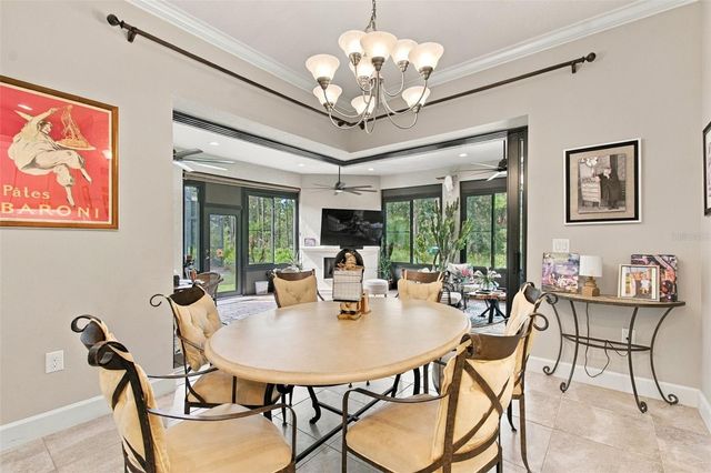 20163 UMBRIA HILL DRIVE, Tampa, FL 33647