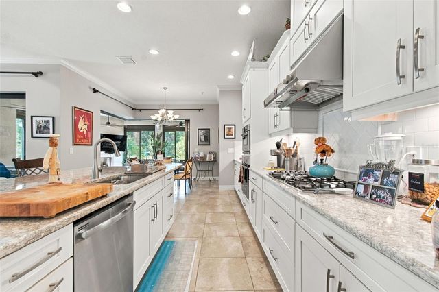 20163 UMBRIA HILL DRIVE, Tampa, FL 33647
