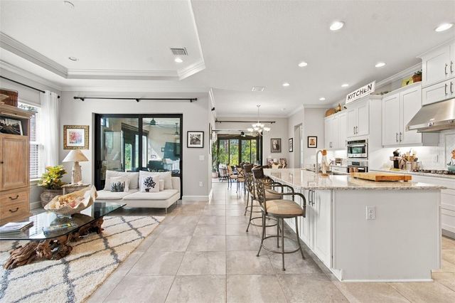20163 UMBRIA HILL DRIVE, Tampa, FL 33647