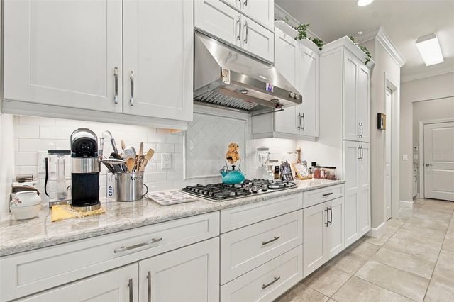 20163 UMBRIA HILL DRIVE, Tampa, FL 33647