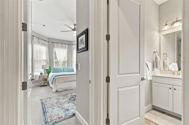 20163 UMBRIA HILL DRIVE, Tampa, FL 33647