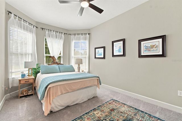 20163 UMBRIA HILL DRIVE, Tampa, FL 33647