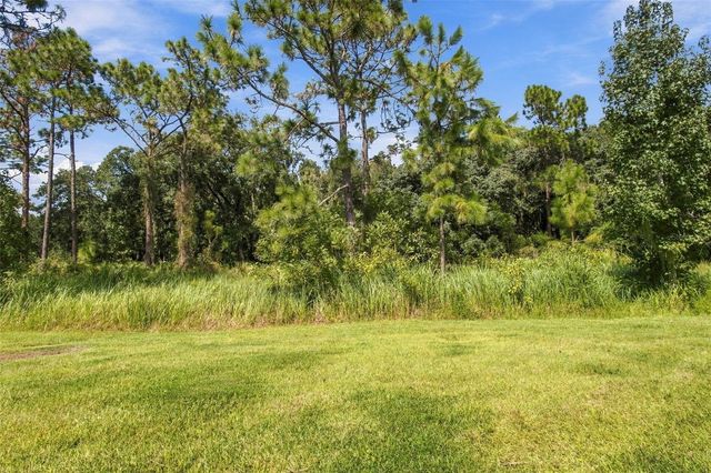 20163 UMBRIA HILL DRIVE, Tampa, FL 33647