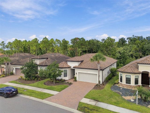 20163 UMBRIA HILL DRIVE, Tampa, FL 33647