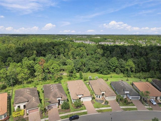 20163 UMBRIA HILL DRIVE, Tampa, FL 33647