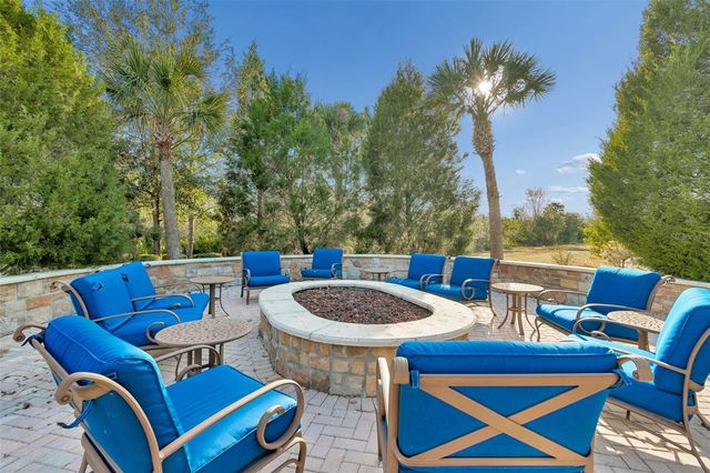 20163 UMBRIA HILL DRIVE, Tampa, FL 33647