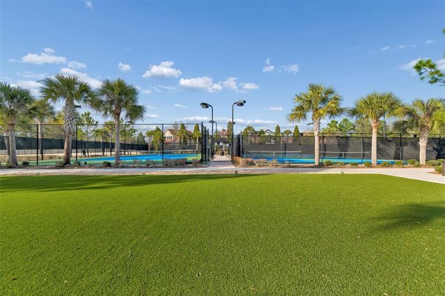 20163 UMBRIA HILL DRIVE, Tampa, FL 33647