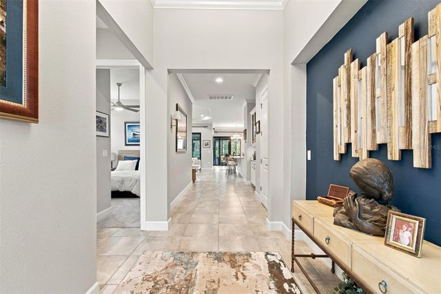 20163 UMBRIA HILL DRIVE, Tampa, FL 33647