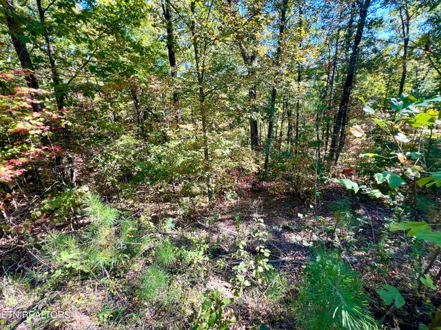 P 20.15 Creek Hollow Way, Sevierville, TN 37876