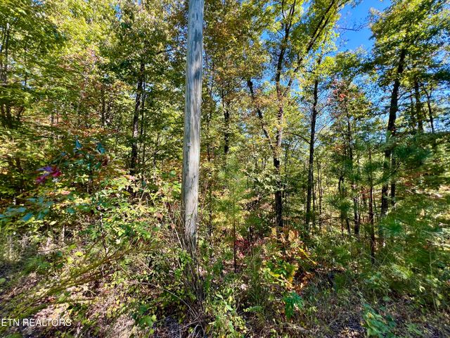 P 20.15 Creek Hollow Way, Sevierville, TN 37876