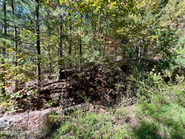 P 20.15 Creek Hollow Way, Sevierville, TN 37876