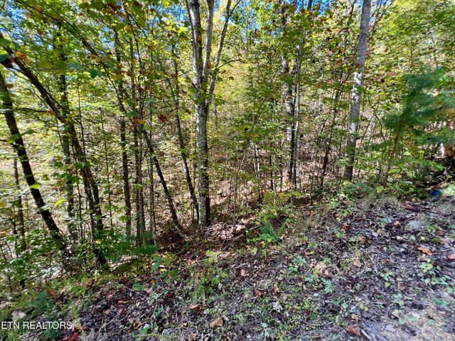 P 20.15 Creek Hollow Way, Sevierville, TN 37876