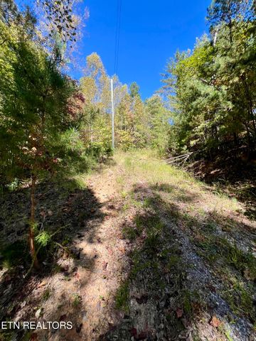 P 20.15 Creek Hollow Way, Sevierville, TN 37876