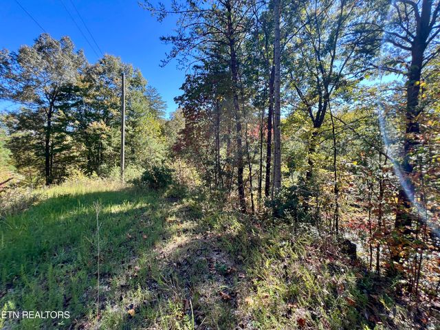P 20.15 Creek Hollow Way, Sevierville, TN 37876
