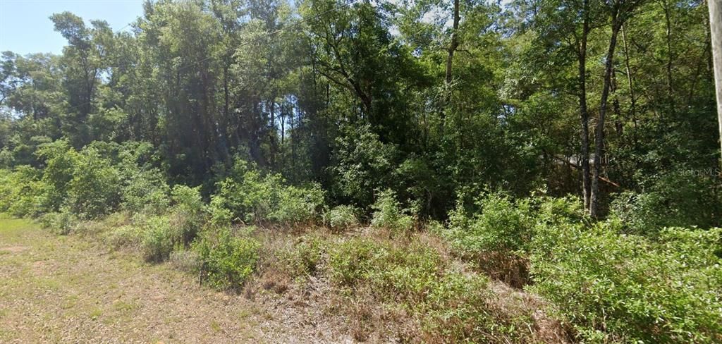 00 SW STARLING DRIVE, Dunnellon, FL 34431