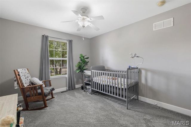 219 Niagra Drive, Wentzville, MO 63385