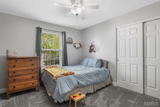 219 Niagra Drive, Wentzville, MO 63385