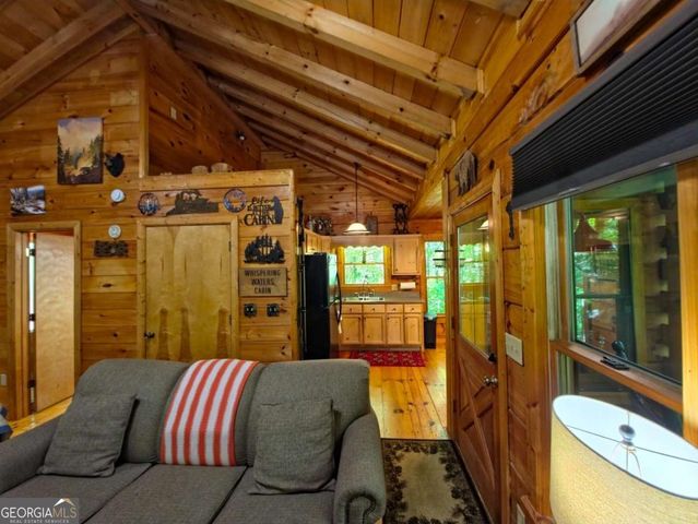 163 Little Rock Creek Trail 9, Cherry Log, GA 30522