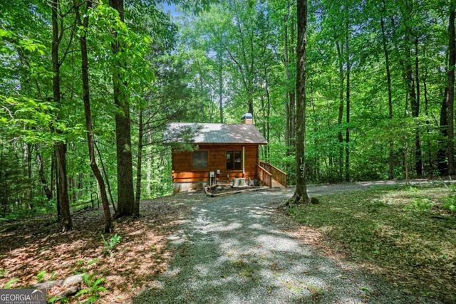 163 Little Rock Creek Trail 9, Cherry Log, GA 30522
