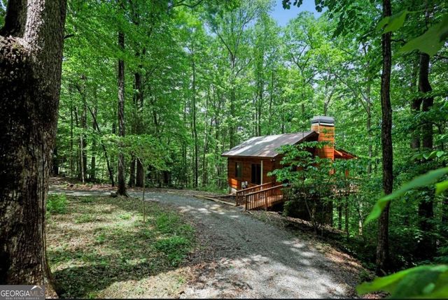 163 Little Rock Creek Trail 9, Cherry Log, GA 30522